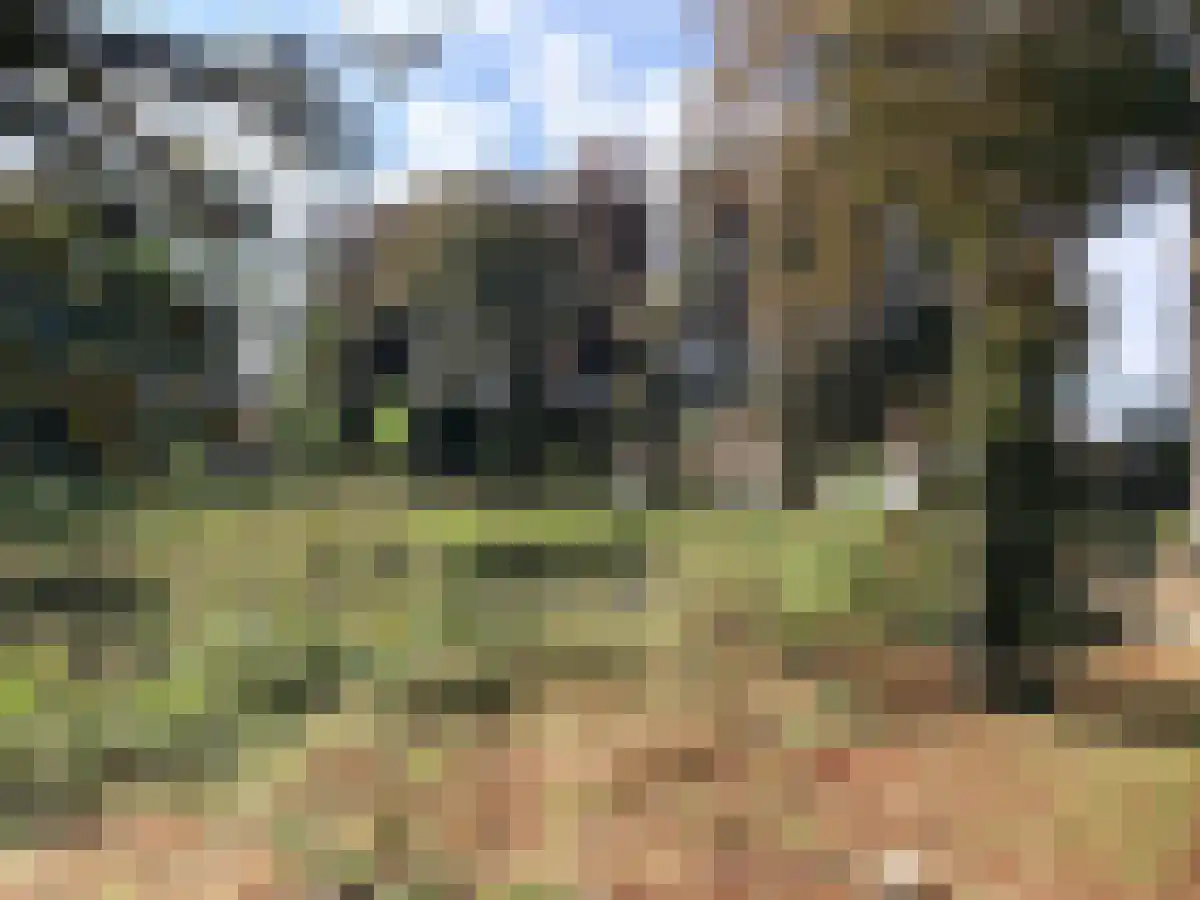 Leemkuilen 19 Haelen thumbnail 6