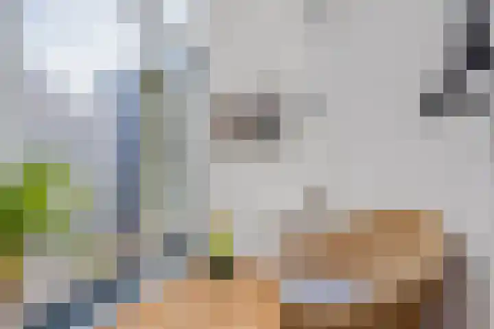 Leemkuilen 25 Meijel thumbnail 11