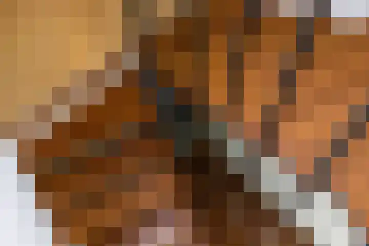 Leemkuilen 25 Meijel thumbnail 19