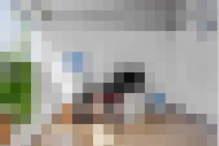 Leemkuilen 25 Meijel thumbnail 32