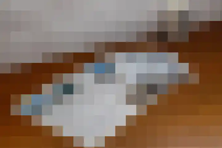 Leemkuilen 25 Meijel thumbnail 36