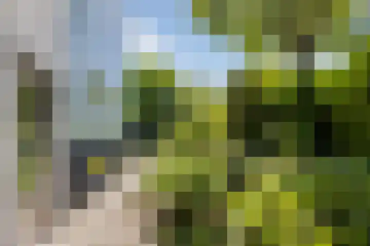 Leemkuilen 25 Meijel thumbnail 38
