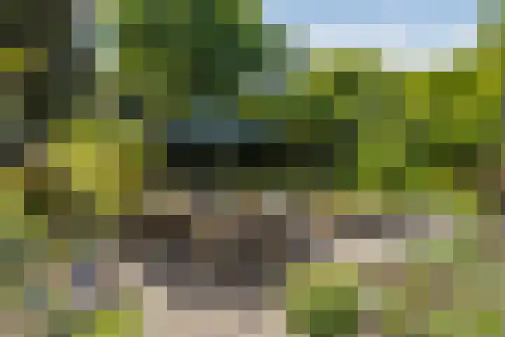 Leemkuilen 25 Meijel thumbnail 40