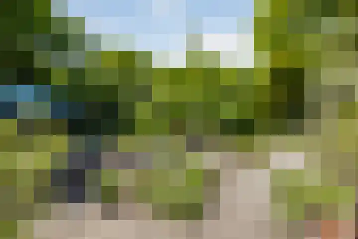 Leemkuilen 25 Meijel thumbnail 42
