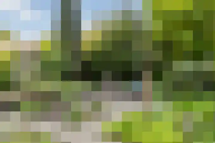 Leemkuilen 25 Meijel thumbnail 43