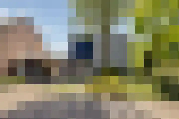 Leemkuilen 25 Meijel thumbnail 46