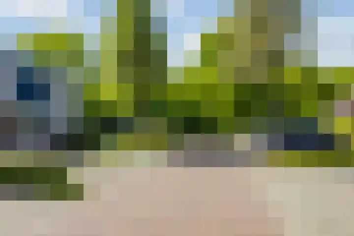 Leemkuilen 25 Meijel thumbnail 49