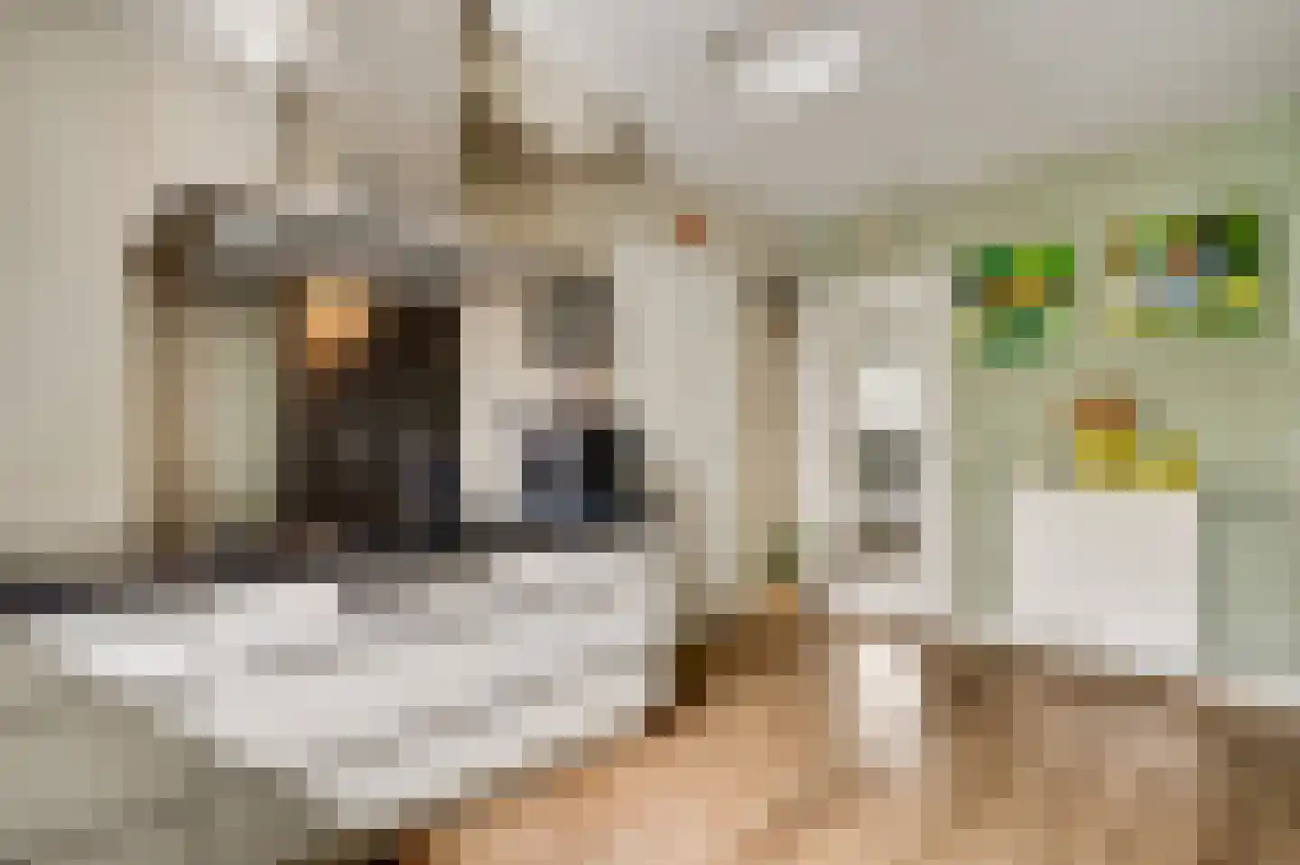 Leemkuilen 5 Meijel thumbnail 14