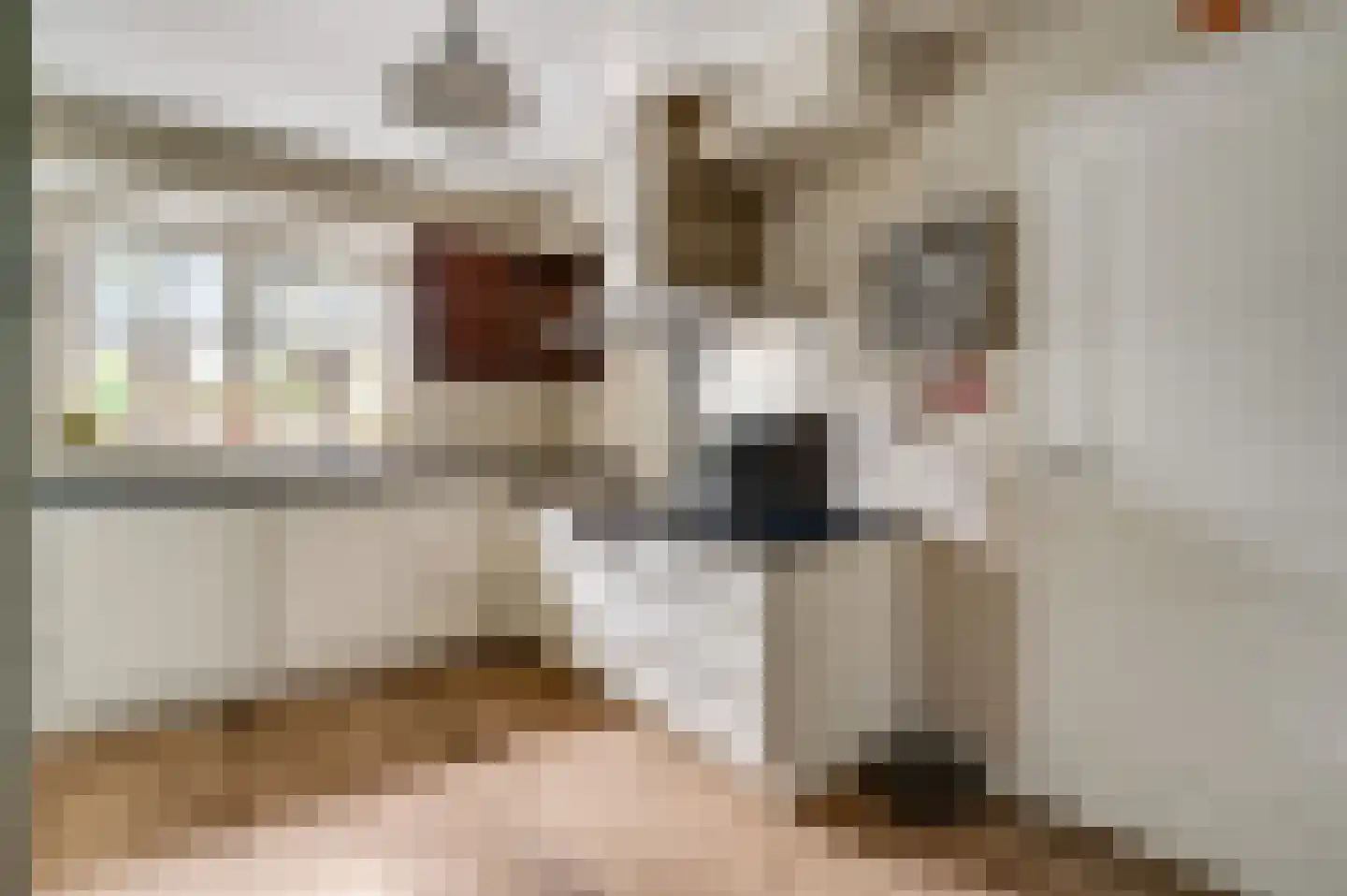 Leemkuilen 5 Meijel thumbnail 15