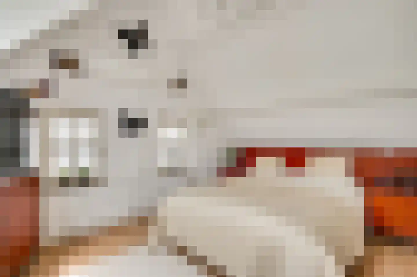 Leemkuilen 5 Meijel thumbnail 21