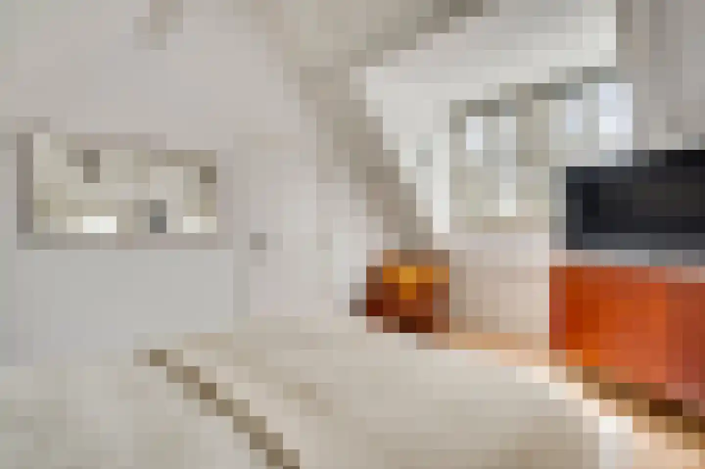 Leemkuilen 5 Meijel thumbnail 22