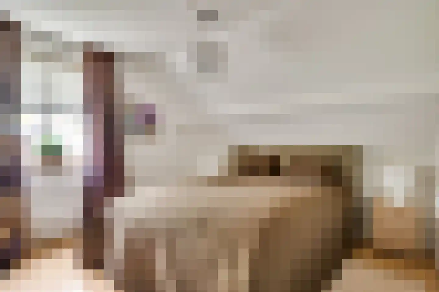 Leemkuilen 5 Meijel thumbnail 23