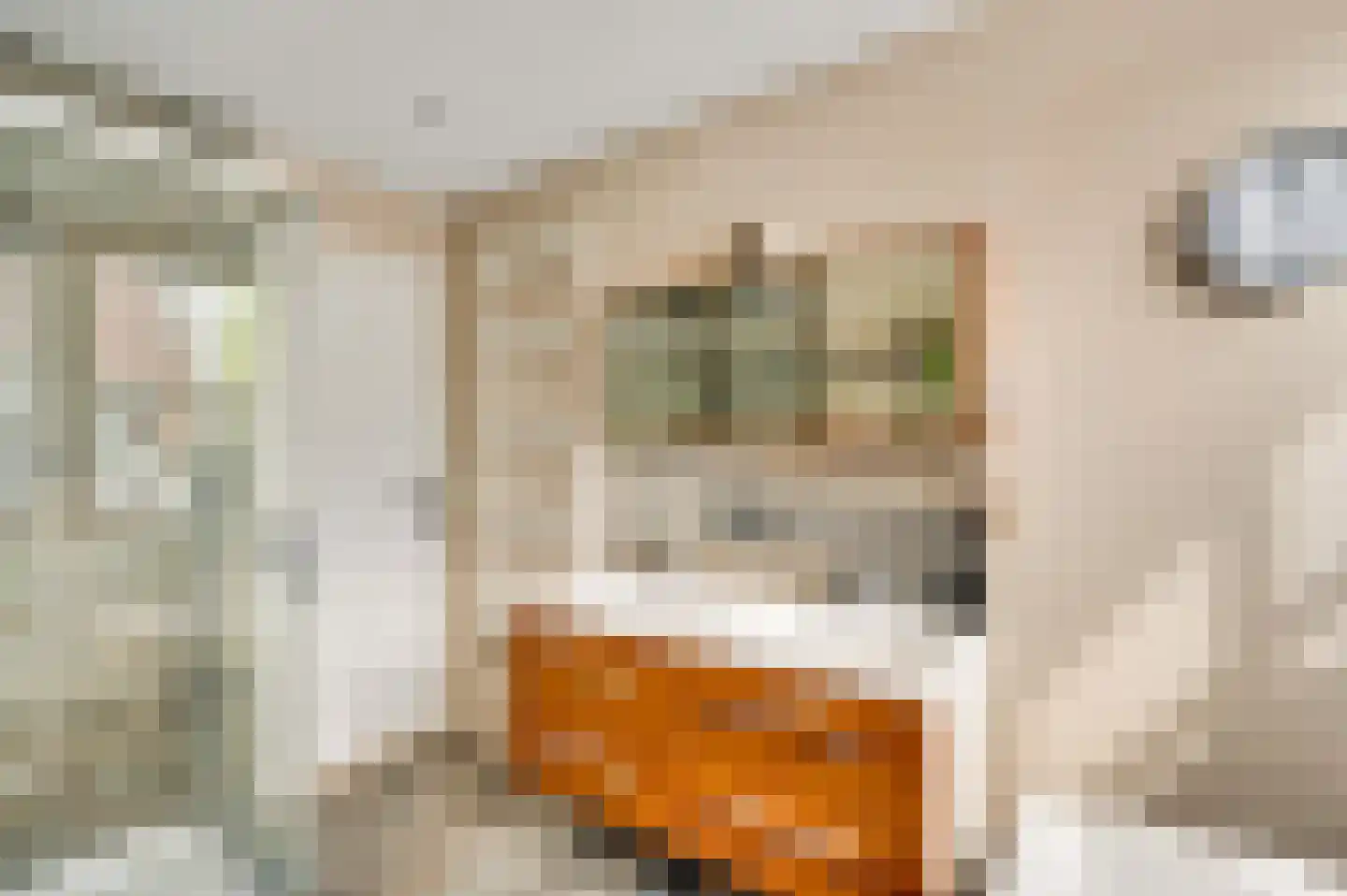 Leemkuilen 5 Meijel thumbnail 31