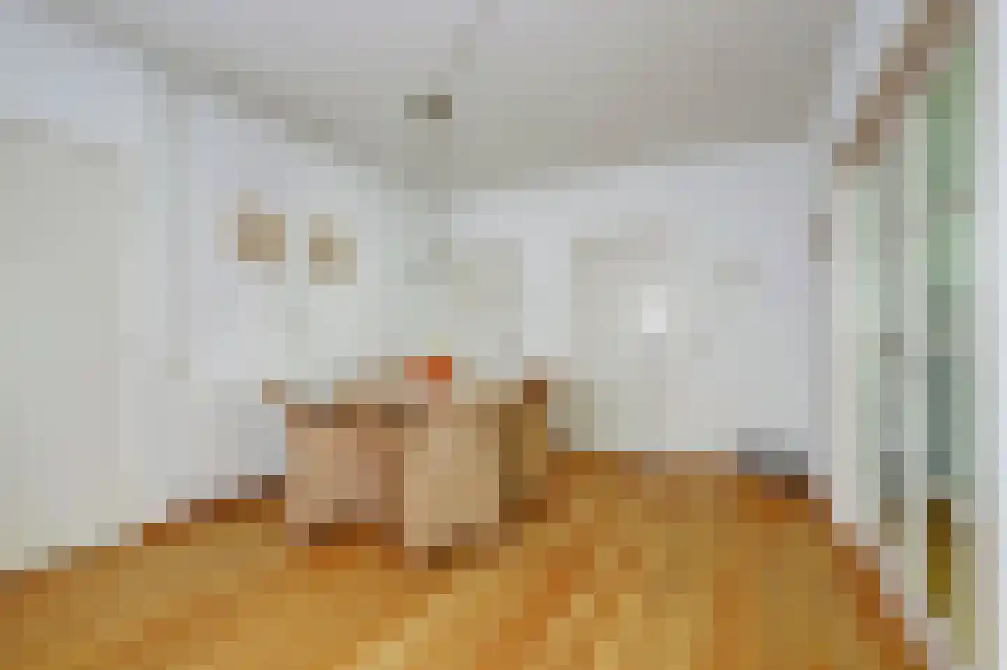 Leemkuilen 7 Meijel thumbnail 16