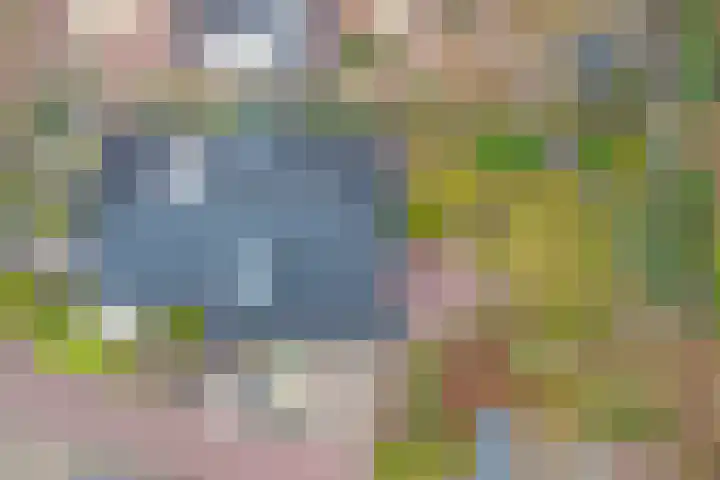 Leemkuilen 7 Meijel thumbnail 36