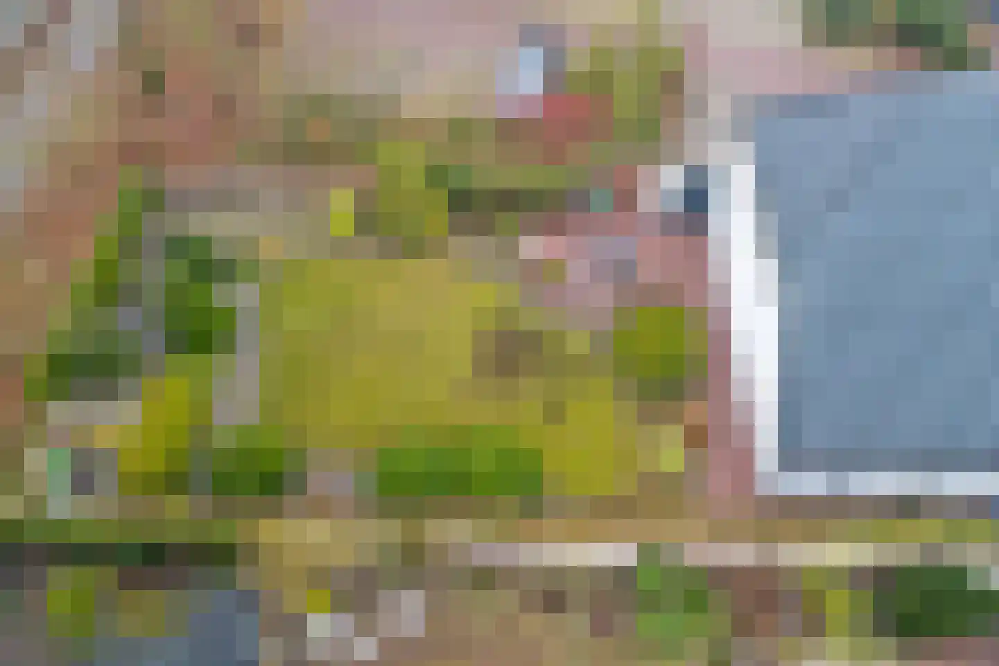 Leemkuilen 7 Meijel thumbnail 37