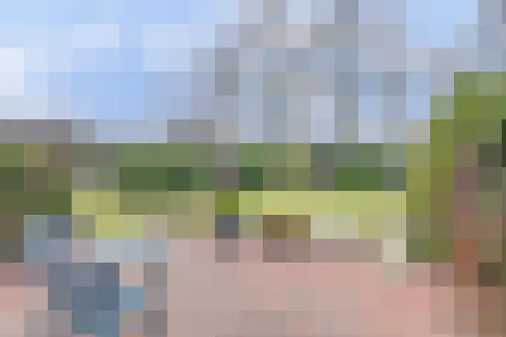 Leemkuilen 7 Meijel thumbnail 4