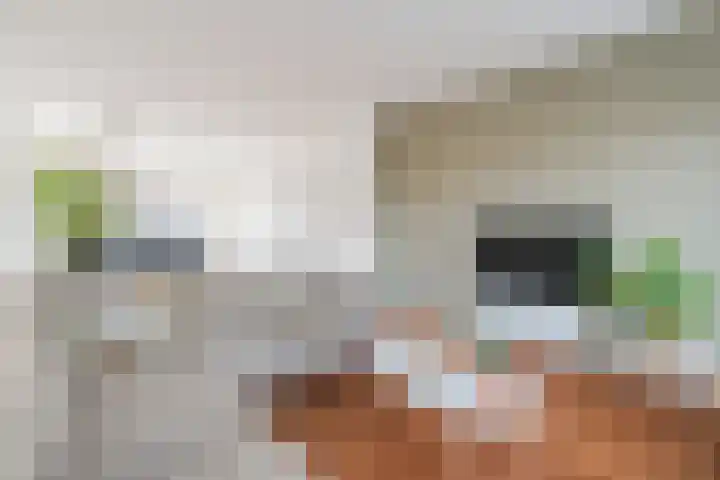 Leemkuilenpad 18 Best thumbnail 11