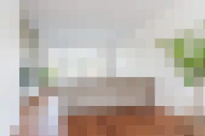 Leemkuilenpad 18 Best thumbnail 13