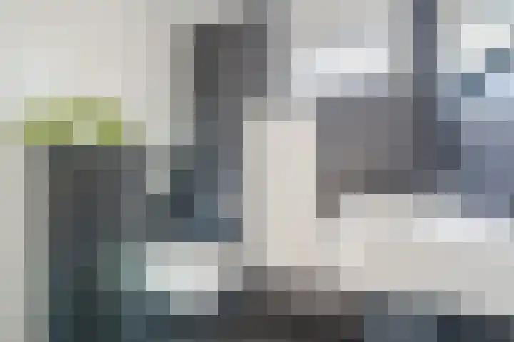 Leemkuilenpad 18 Best thumbnail 29