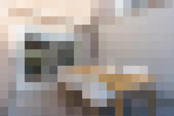 Leemkuilenpad 18 Best thumbnail 32