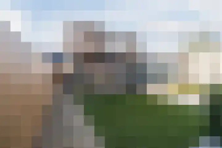 Leemkuilenpad 18 Best thumbnail 33
