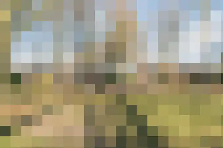 Leemkuilenpad 18 Best thumbnail 35