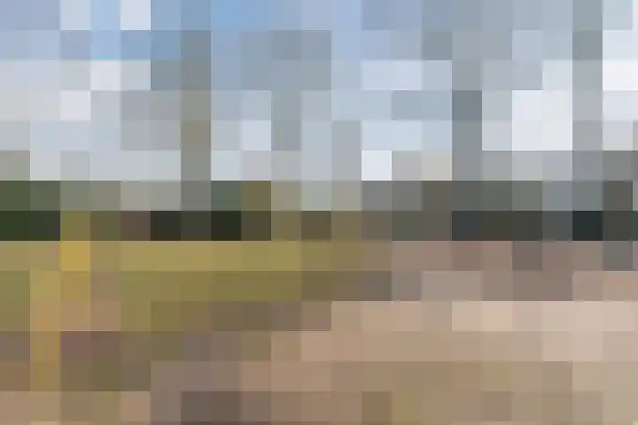 Leemkuilenpad 18 Best thumbnail 36