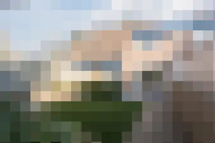 Leemkuilenpad 18 Best thumbnail 5