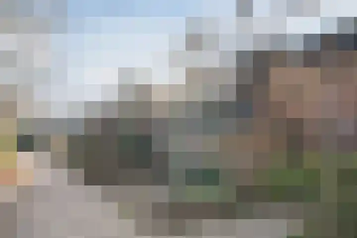 Leemkuilenpad 18 Best thumbnail 6