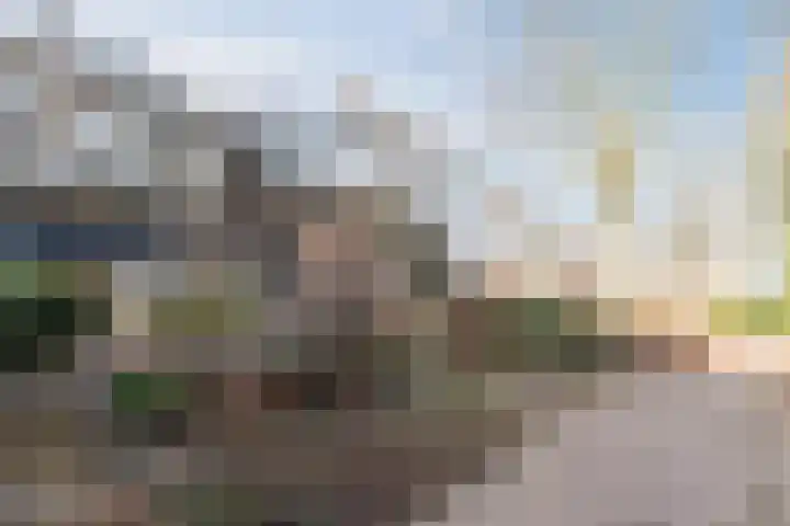 Leemkuilenpad 18 Best thumbnail 7