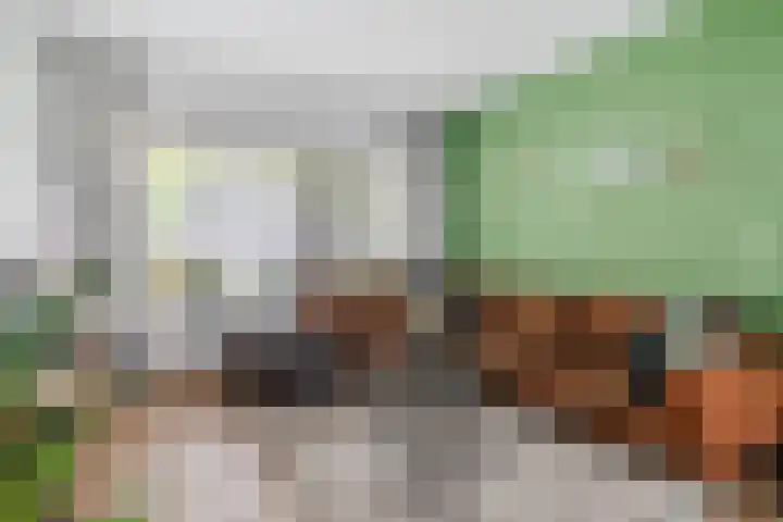 Leemkuilenpad 34 Best thumbnail 12