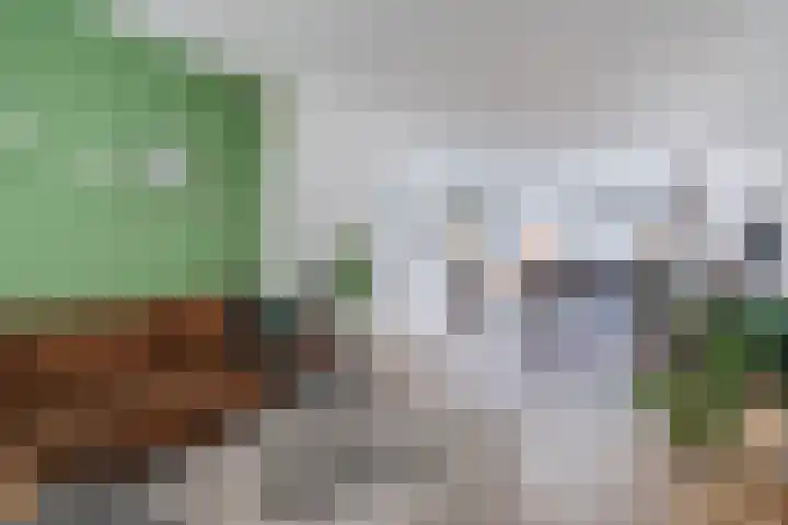 Leemkuilenpad 34 Best thumbnail 13