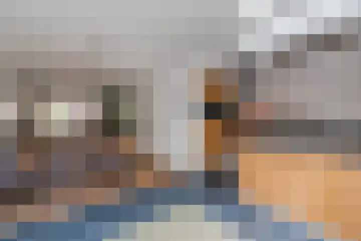 Leemkuilenpad 34 Best thumbnail 20