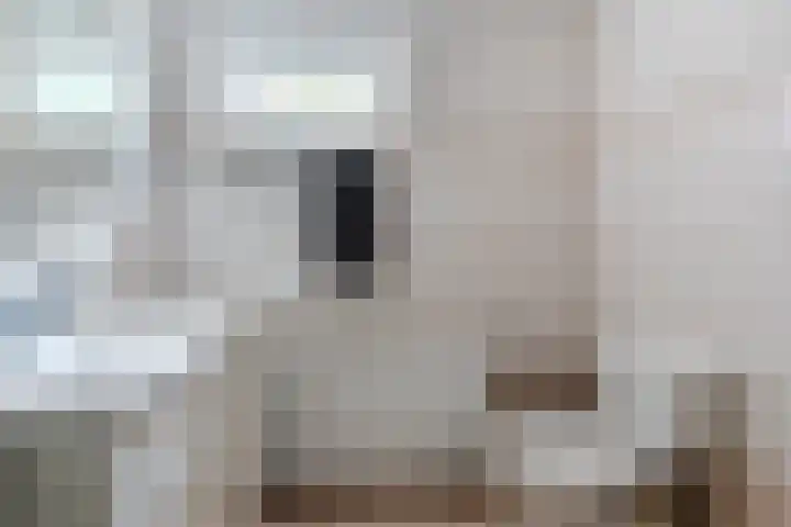 Leemkuilenpad 34 Best thumbnail 30