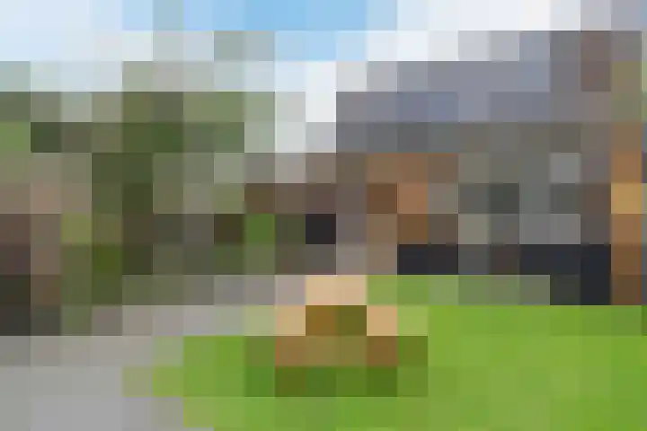 Leemkuilenpad 34 Best thumbnail 37
