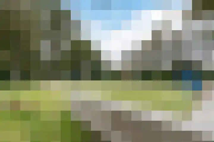 Leemkuilenpad 34 Best thumbnail 40