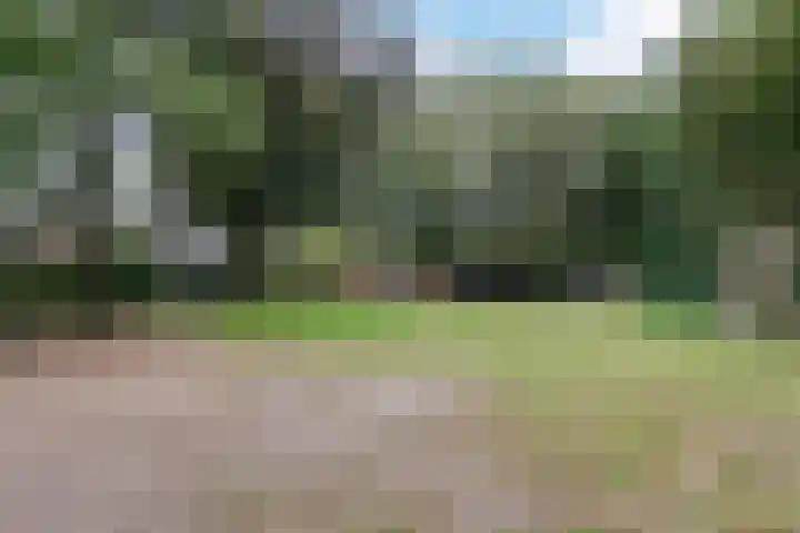 Leemkuilenpad 34 Best thumbnail 41