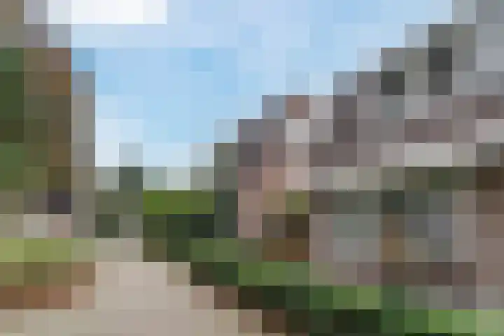 Leemkuilenpad 34 Best thumbnail 7