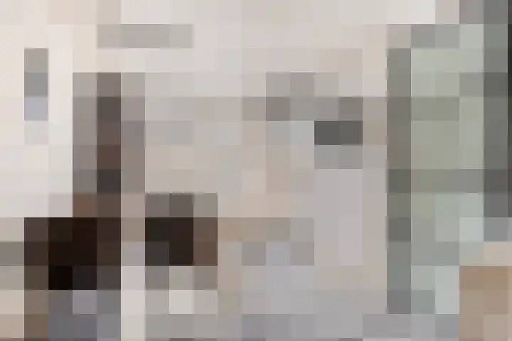 Leemkuilenpad 8 Best thumbnail 10