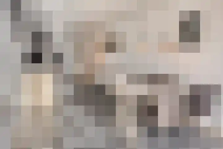 Leemkuilenpad 8 Best thumbnail 11