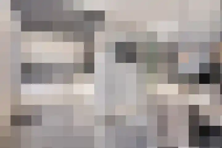 Leemkuilenpad 8 Best thumbnail 12