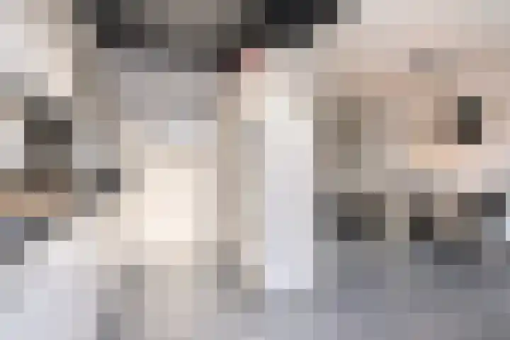 Leemkuilenpad 8 Best thumbnail 15