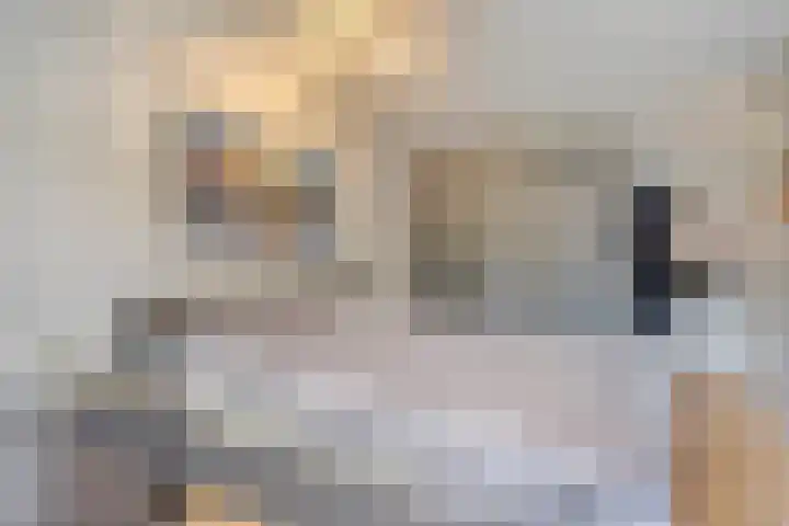 Leemkuilenpad 8 Best thumbnail 19
