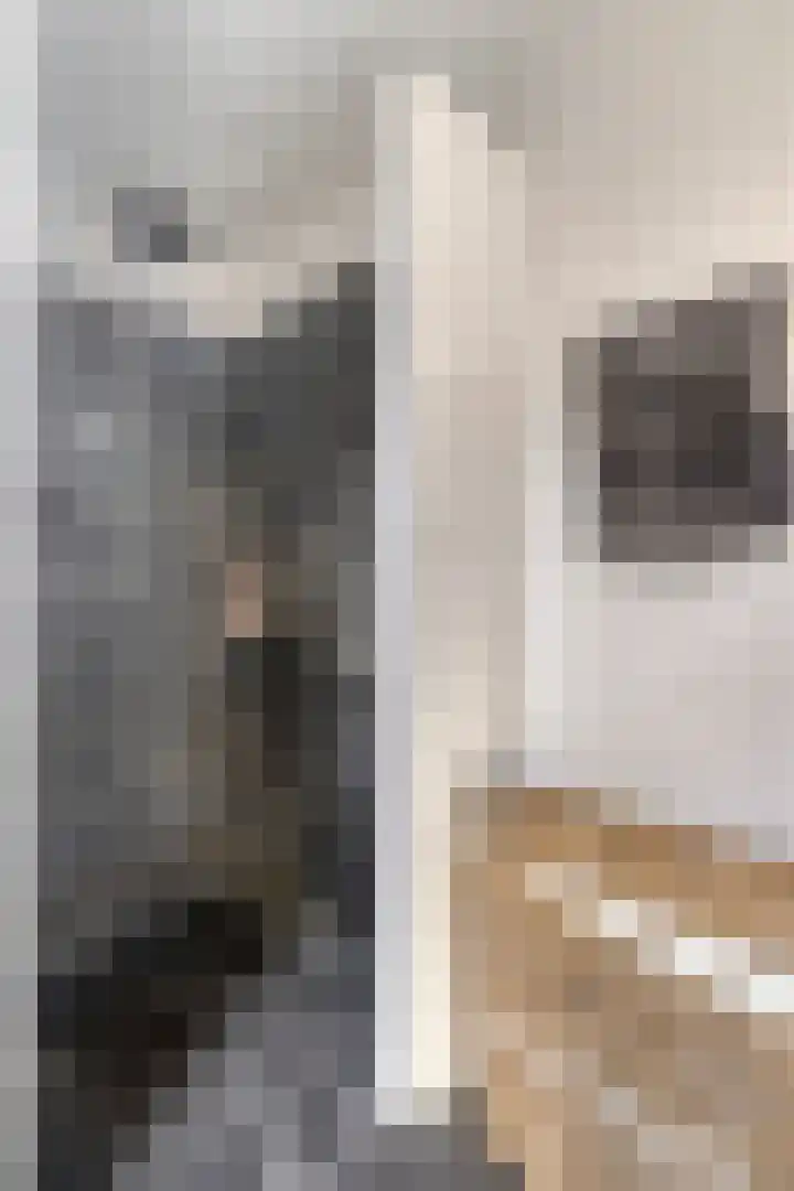 Leemkuilenpad 8 Best thumbnail 24