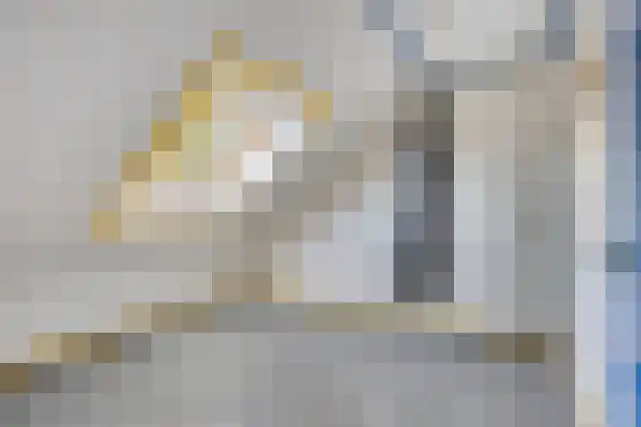 Leemkuilenpad 8 Best thumbnail 29