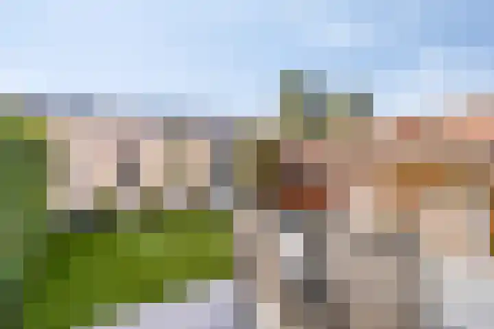 Leemkuilenpad 8 Best thumbnail 31