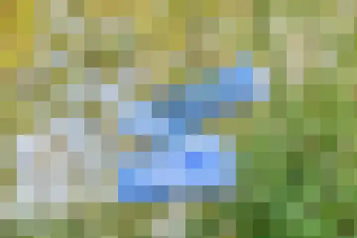 Leemkuilenpad 8 Best thumbnail 34