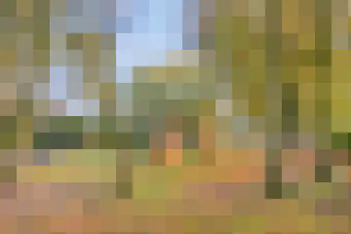 Leemkuilenpad 8 Best thumbnail 35