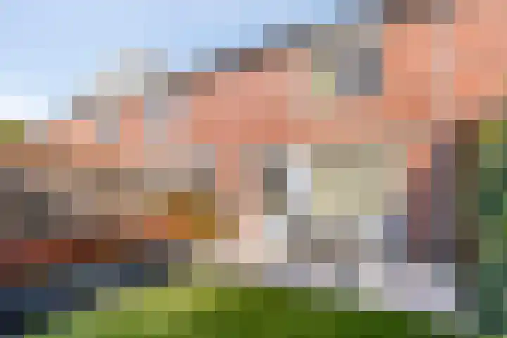 Leemkuilenpad 8 Best thumbnail 36